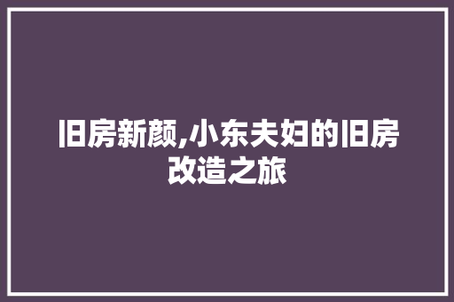 旧房新颜,小东夫妇的旧房改造之旅