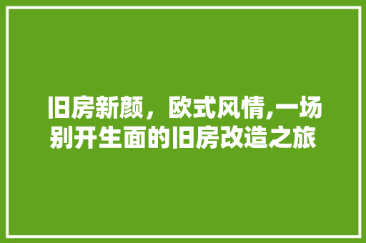 旧房新颜，欧式风情,一场别开生面的旧房改造之旅