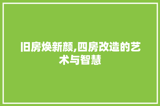 旧房焕新颜,四房改造的艺术与智慧