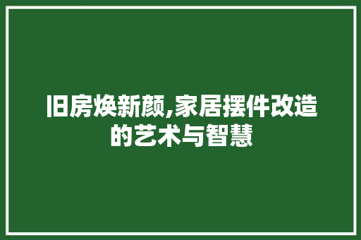 旧房焕新颜,家居摆件改造的艺术与智慧