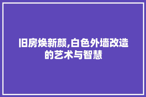 旧房焕新颜,白色外墙改造的艺术与智慧 装修攻略