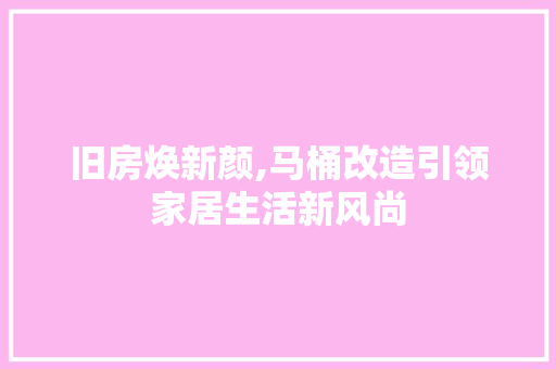 旧房焕新颜,马桶改造引领家居生活新风尚