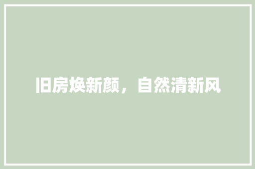 旧房焕新颜，自然清新风 地面装修