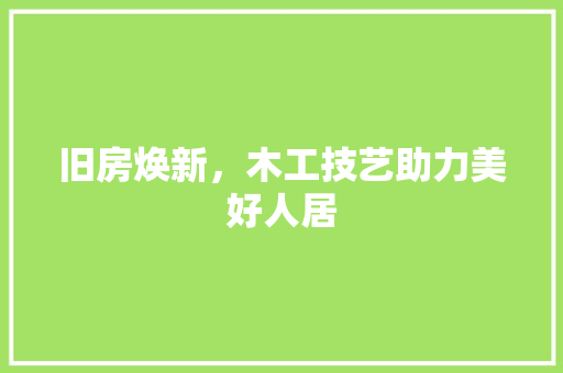 旧房焕新，木工技艺助力美好人居 装修材料