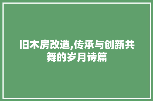 旧木房改造,传承与创新共舞的岁月诗篇 建筑设计