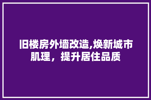 旧楼房外墙改造,焕新城市肌理，提升居住品质 景观设计