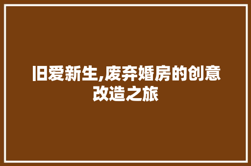旧爱新生,废弃婚房的创意改造之旅 装修攻略