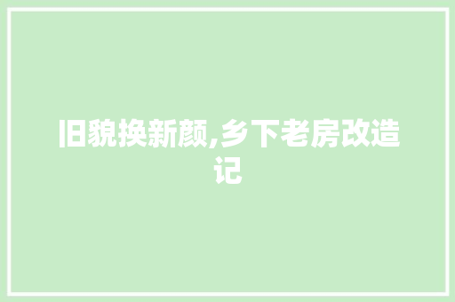 旧貌换新颜,乡下老房改造记