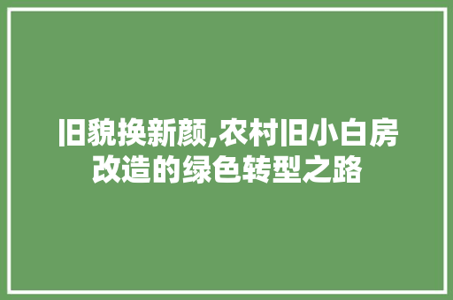 旧貌换新颜,农村旧小白房改造的绿色转型之路 建筑设计