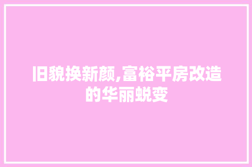 旧貌换新颜,富裕平房改造的华丽蜕变 装修攻略
