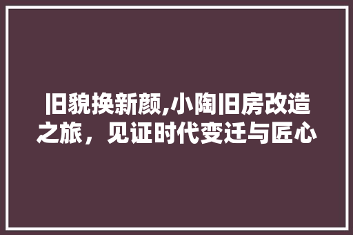 旧貌换新颜,小陶旧房改造之旅，见证时代变迁与匠心独运 装修攻略