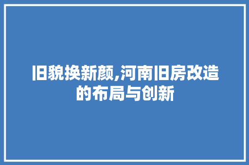 旧貌换新颜,河南旧房改造的布局与创新