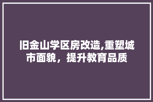 旧金山学区房改造,重塑城市面貌，提升教育品质 隔断设计