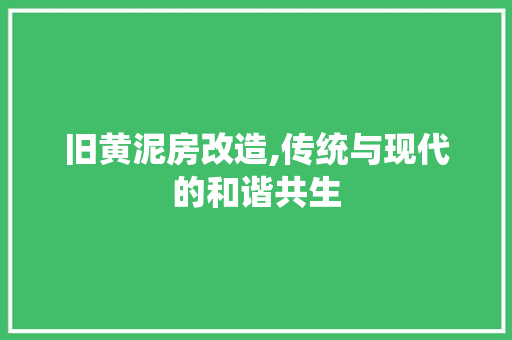 旧黄泥房改造,传统与现代的和谐共生