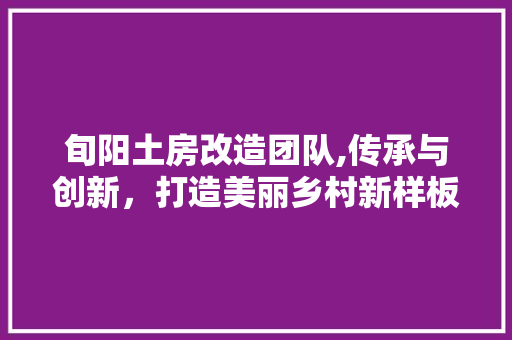 旬阳土房改造团队,传承与创新，打造美丽乡村新样板 墙面装饰