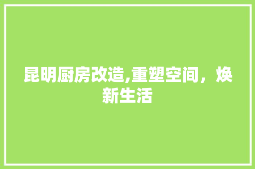 昆明厨房改造,重塑空间，焕新生活