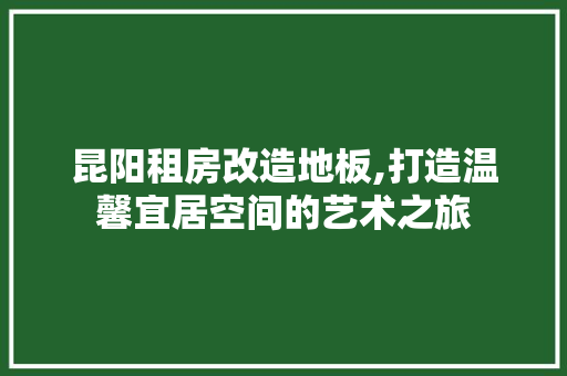 昆阳租房改造地板,打造温馨宜居空间的艺术之旅
