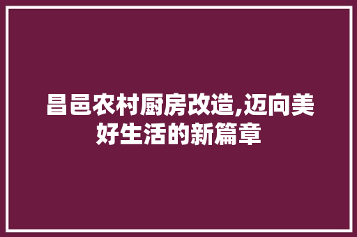 昌邑农村厨房改造,迈向美好生活的新篇章