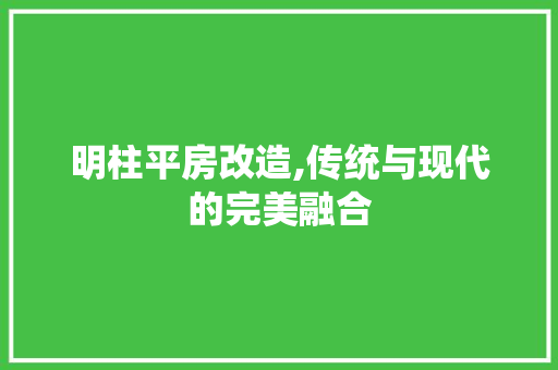 明柱平房改造,传统与现代的完美融合