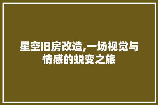 星空旧房改造,一场视觉与情感的蜕变之旅 门窗装修
