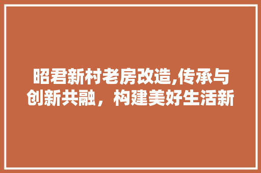 昭君新村老房改造,传承与创新共融，构建美好生活新家园 隔断设计