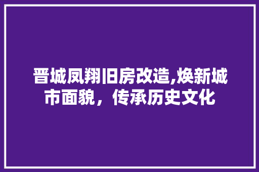 晋城凤翔旧房改造,焕新城市面貌，传承历史文化