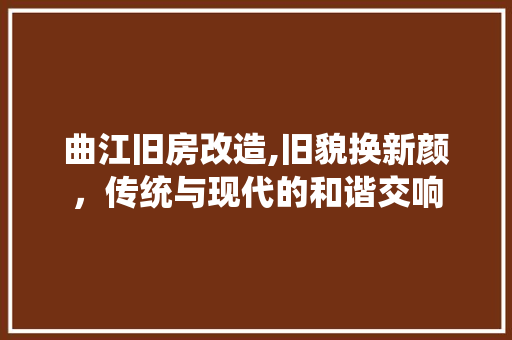 曲江旧房改造,旧貌换新颜，传统与现代的和谐交响