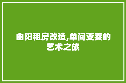 曲阳租房改造,单间变奏的艺术之旅