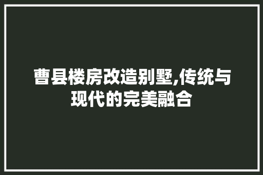 曹县楼房改造别墅,传统与现代的完美融合