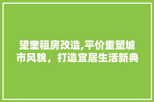 望奎租房改造,平价重塑城市风貌，打造宜居生活新典范