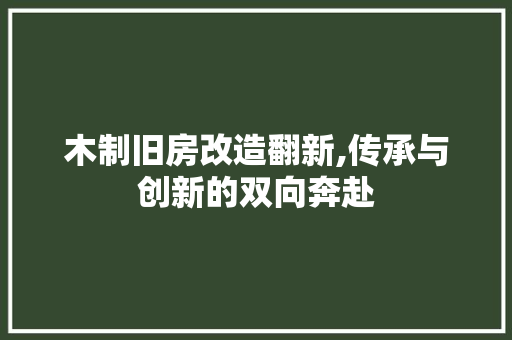 木制旧房改造翻新,传承与创新的双向奔赴 墙面装饰