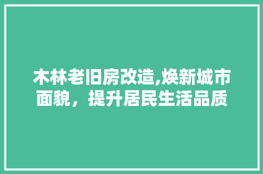 木林老旧房改造,焕新城市面貌，提升居民生活品质