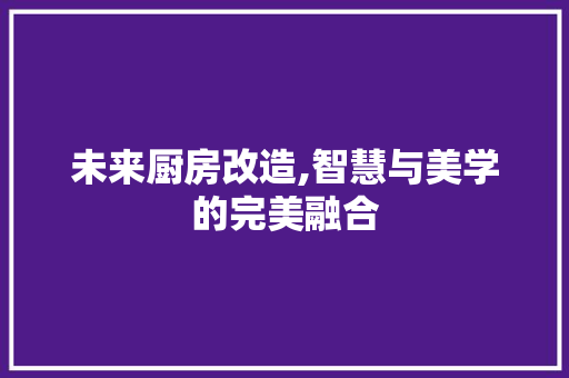 未来厨房改造,智慧与美学的完美融合