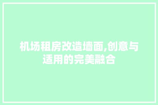 机场租房改造墙面,创意与适用的完美融合 门窗装修