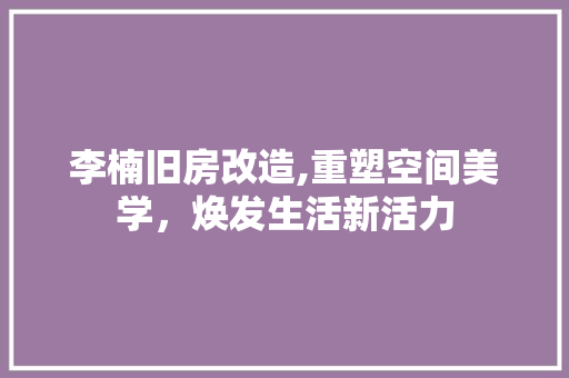 李楠旧房改造,重塑空间美学，焕发生活新活力