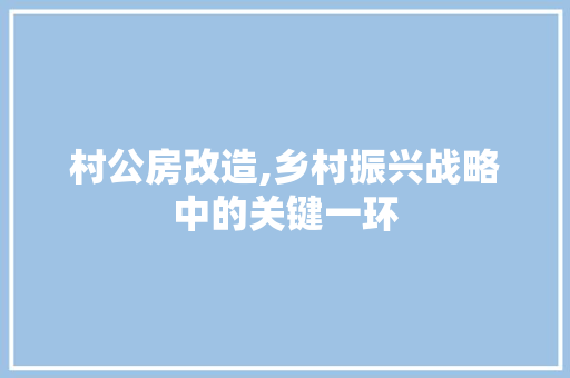 村公房改造,乡村振兴战略中的关键一环
