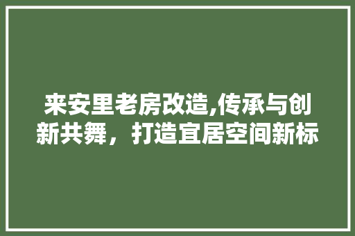 来安里老房改造,传承与创新共舞，打造宜居空间新标杆