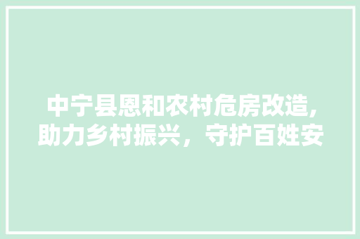 中宁县恩和农村危房改造,助力乡村振兴，守护百姓安居乐业