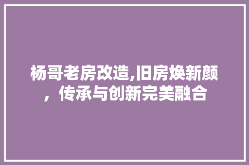 杨哥老房改造,旧房焕新颜，传承与创新完美融合
