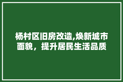 杨村区旧房改造,焕新城市面貌，提升居民生活品质