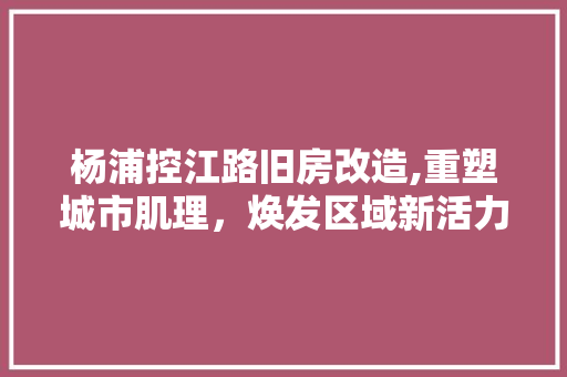 杨浦控江路旧房改造,重塑城市肌理，焕发区域新活力