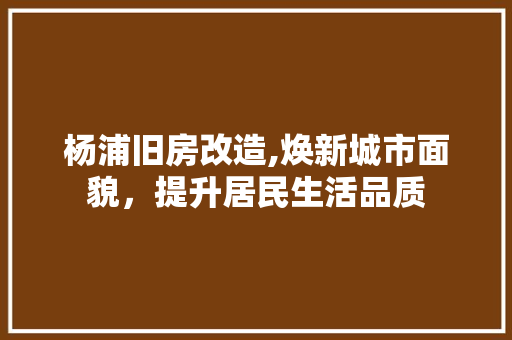 杨浦旧房改造,焕新城市面貌，提升居民生活品质 墙面装饰