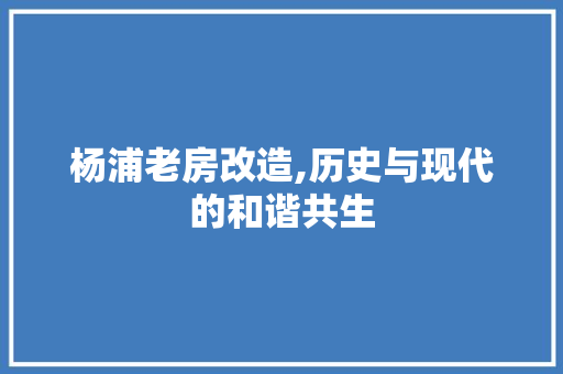 杨浦老房改造,历史与现代的和谐共生
