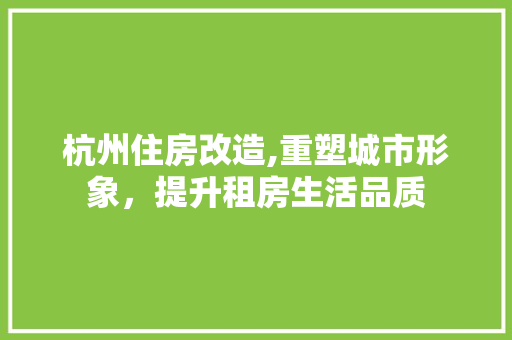 杭州住房改造,重塑城市形象，提升租房生活品质 装修攻略