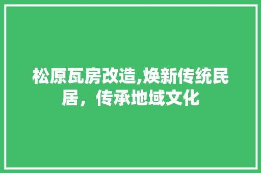 松原瓦房改造,焕新传统民居，传承地域文化