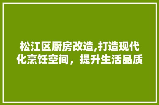 松江区厨房改造,打造现代化烹饪空间，提升生活品质 景观设计