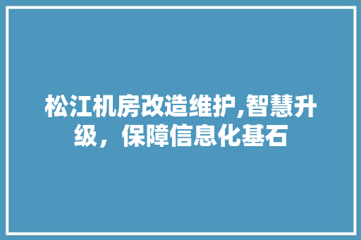 松江机房改造维护,智慧升级，保障信息化基石