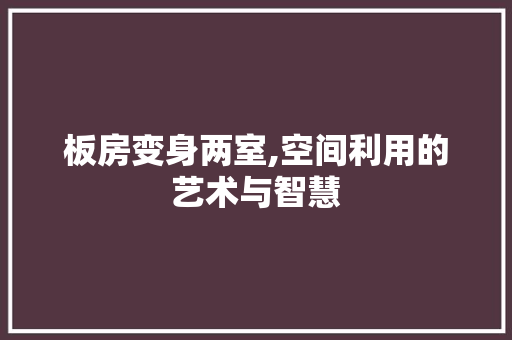 板房变身两室,空间利用的艺术与智慧