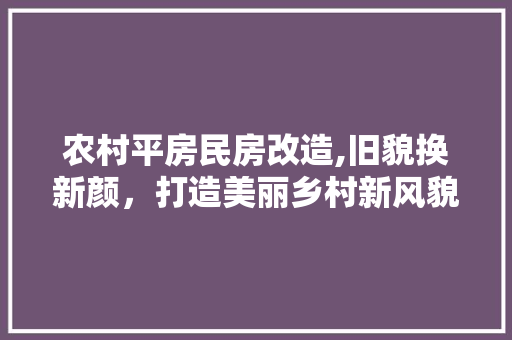 农村平房民房改造,旧貌换新颜，打造美丽乡村新风貌