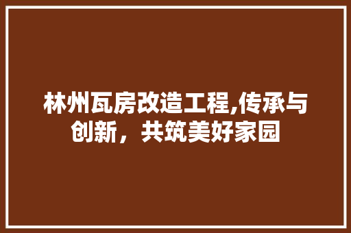 林州瓦房改造工程,传承与创新，共筑美好家园